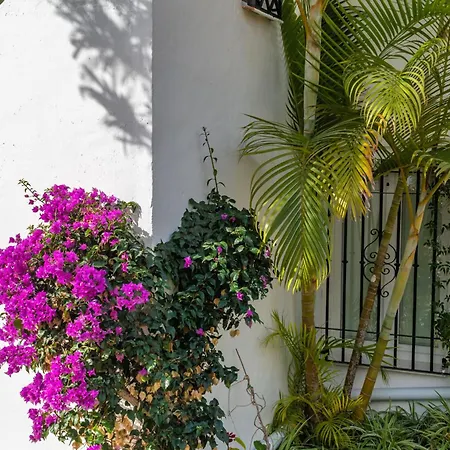 Casablanca 46 Oasis