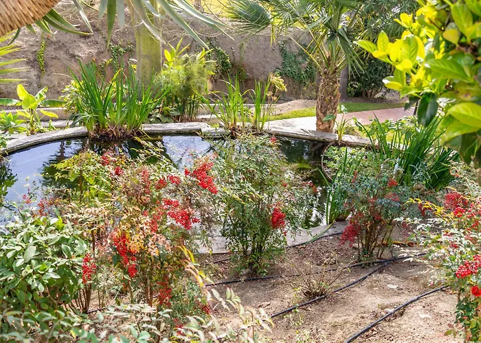 Casablanca 46 Oasis Appartement