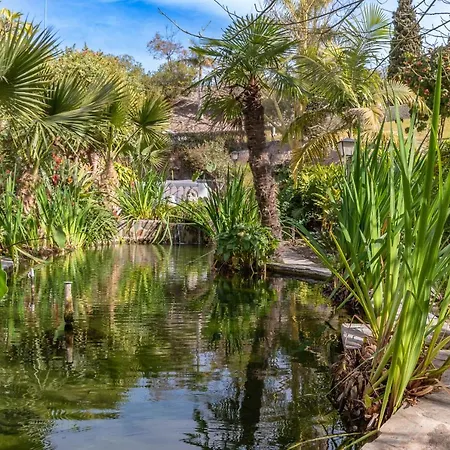 Casablanca 46 Oasis Nerja