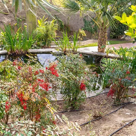 Casablanca 46 Oasis Apartman