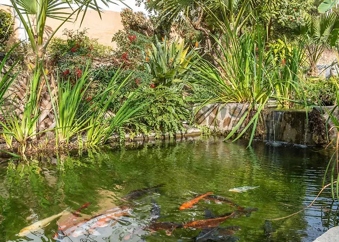 Apartment Casablanca 46 Oasis *